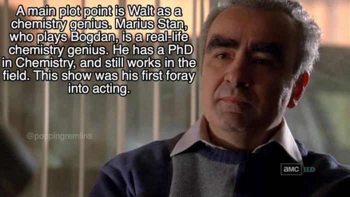 Facts About “Breaking Bad” (19 pics)