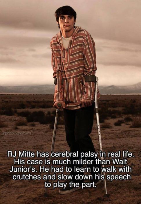 Facts About “Breaking Bad” (19 pics)