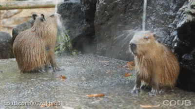 Acid Gifdump, February 27, 2018 (25 gifs)