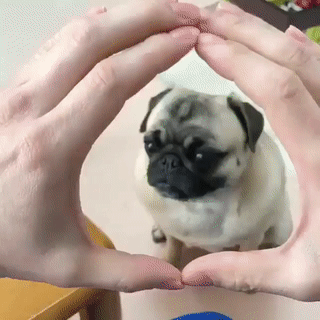 Acid Gifdump, February 27, 2018 (25 gifs)