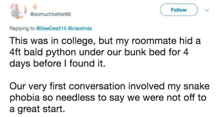 The Worst Roommate Horror Stories (19 pics)