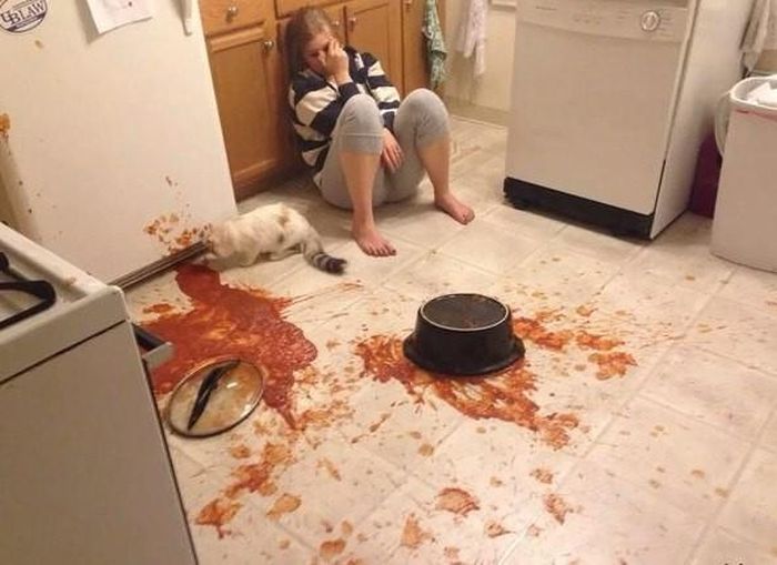 Food Fails (38 pics)