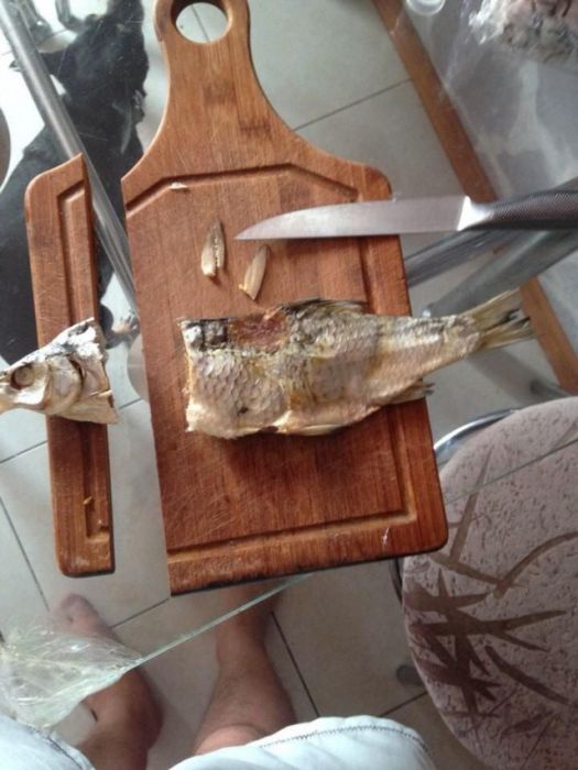 Food Fails (38 pics)