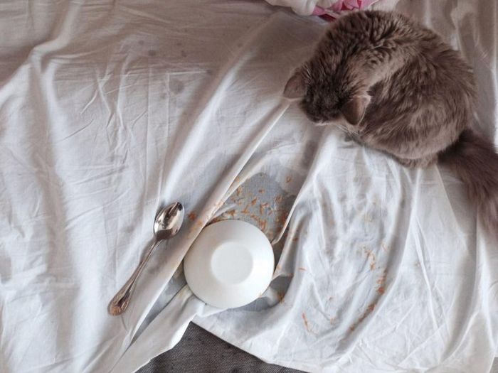 Food Fails (38 pics)