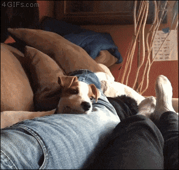 Acid Gifdump, February 28, 2018 (25 gifs)