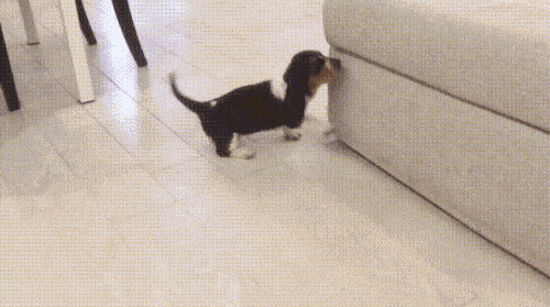 Acid Gifdump, February 28, 2018 (25 gifs)