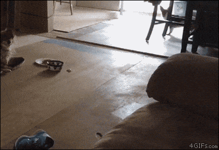 Acid Gifdump, February 28, 2018 (25 gifs)