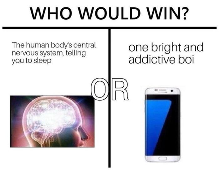 "Who Would Win?" Meme (27 pics)