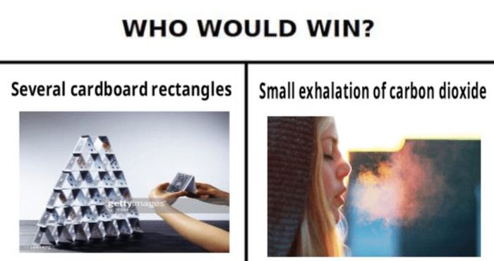 "Who Would Win?" Meme (27 pics)