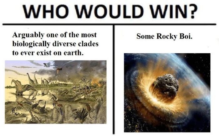 "Who Would Win?" Meme (27 pics)