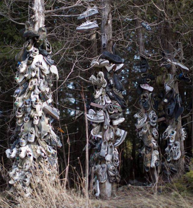 Acid Picdump (95 pics)