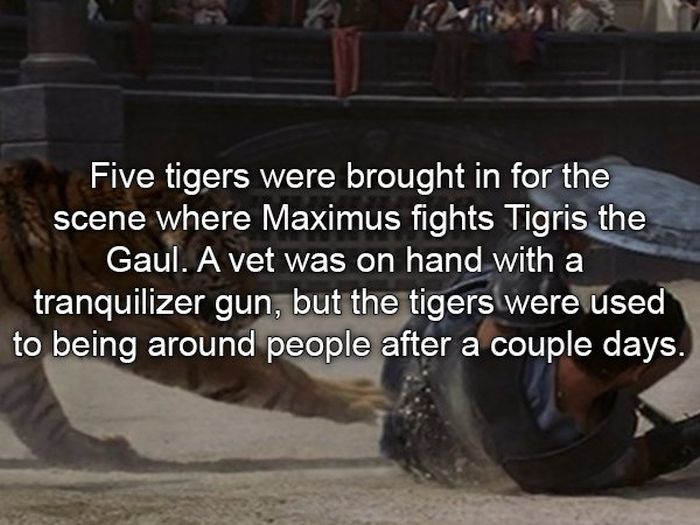 Facts About The Movie Gladiator (24 pics)