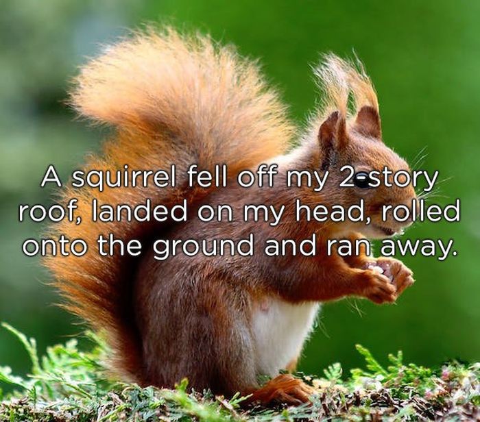“Pics Or It Didn’t Happen” Stories Are The Best–Even Without Pics (13 pics)
