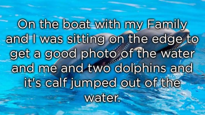 “Pics Or It Didn’t Happen” Stories Are The Best–Even Without Pics (13 pics)