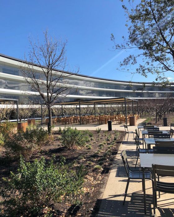 Photos Of The New Apple Headquarters (56 pics)