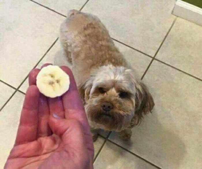 Unbelievable Coincidences (21 pics)