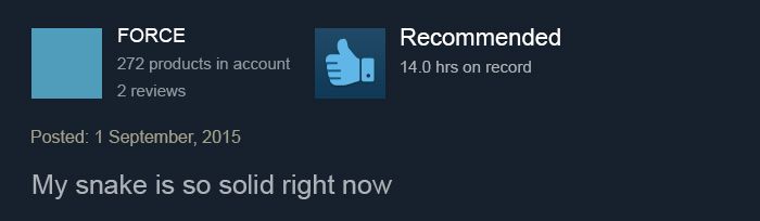 Funny Steam Game Reviews (17 pics)