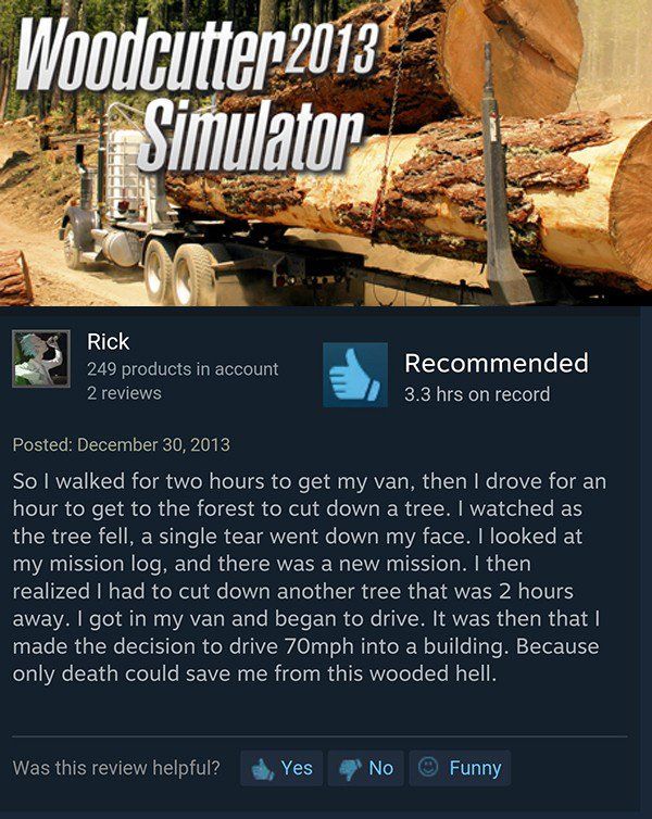 Funny Steam Game Reviews (17 pics)