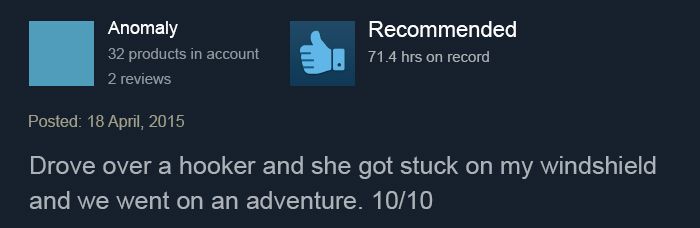 Funny Steam Game Reviews (17 pics)