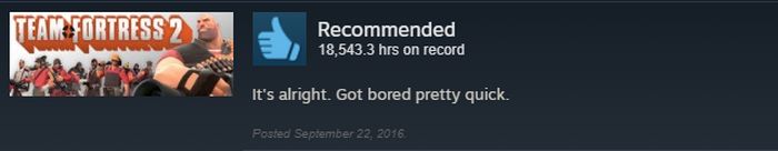 funny-steam-game-reviews-17-pics