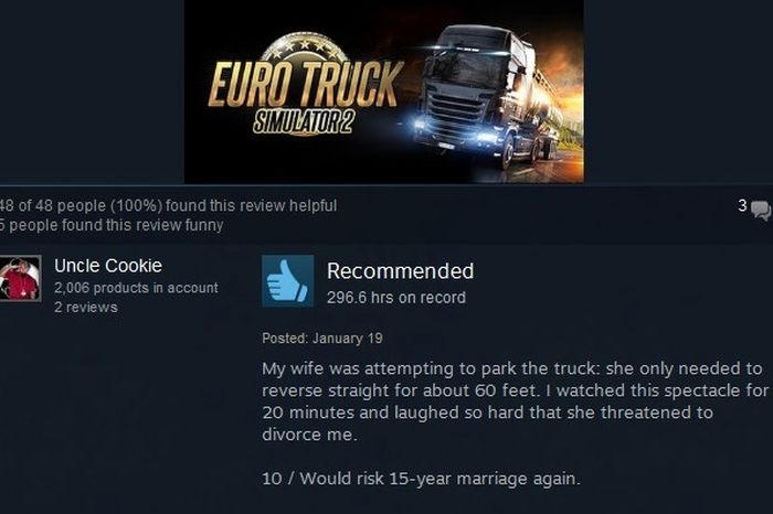 Funny Steam Game Reviews (17 pics)