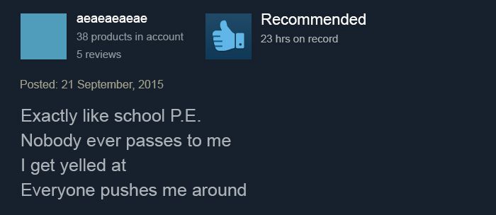 Funny Steam Game Reviews (17 pics)