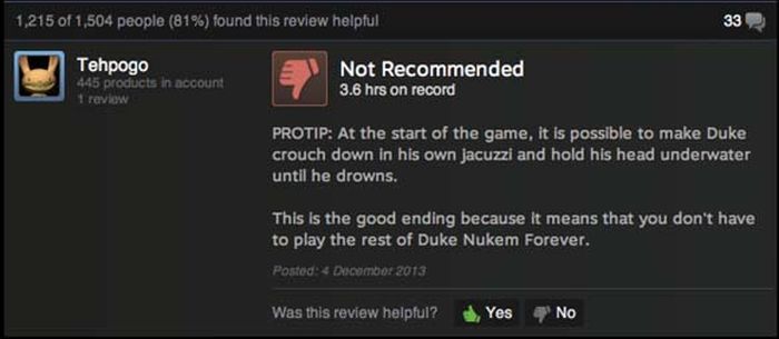 Funny Steam Game Reviews (17 pics)