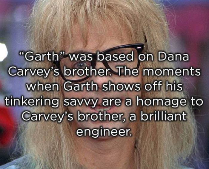 Wayne's World Facts (13 pics)