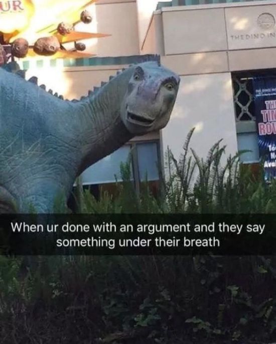 So True (35 pics)