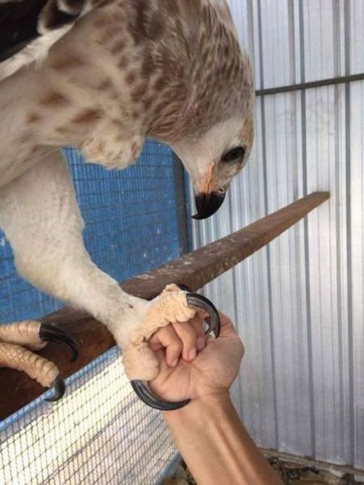 Acid Picdump (106 pics)