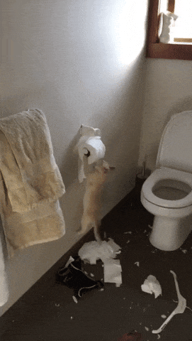 Acid Gifdump, March 5, 2018 (25 gifs)