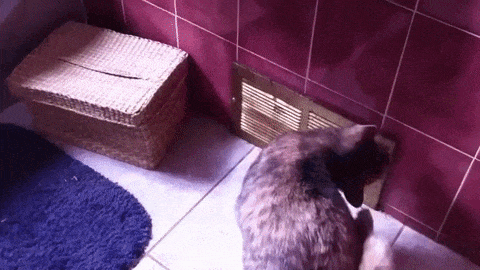 Acid Gifdump, March 5, 2018 (25 gifs)