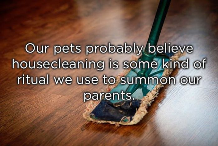 Shower Thoughts (18 pics)