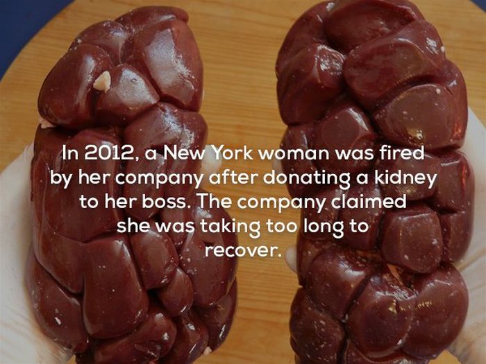 Scary Facts (21 pics)