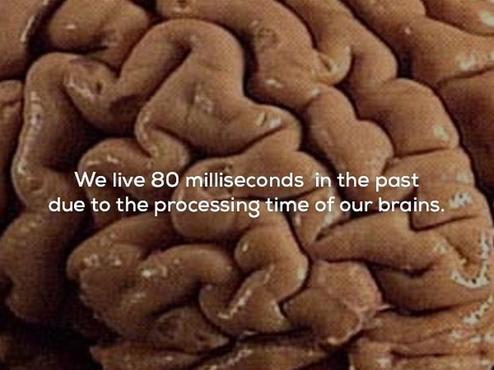 Scary Facts (21 pics)