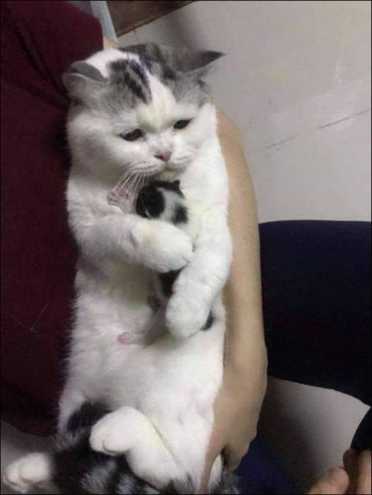 Fine Examples When A Picture Says More Than Just A Thousand Words (53 pics)