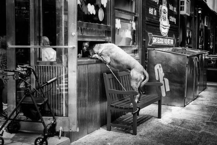 Fine Examples When A Picture Says More Than Just A Thousand Words (53 pics)