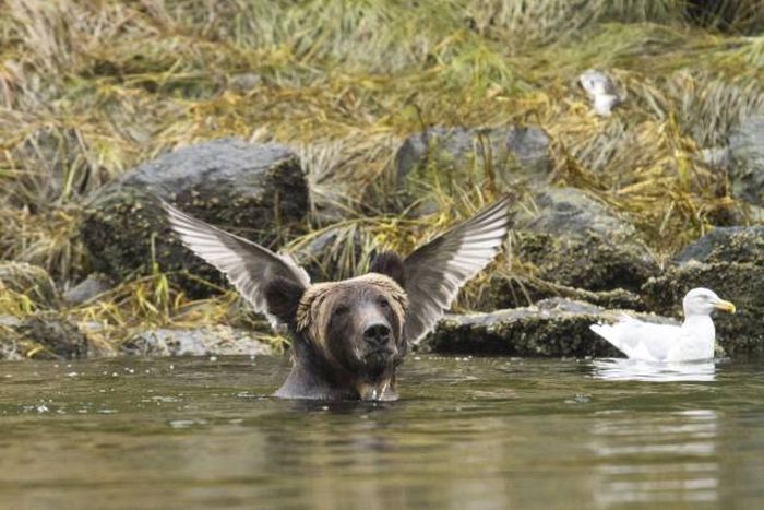 Fine Examples When A Picture Says More Than Just A Thousand Words (53 pics)
