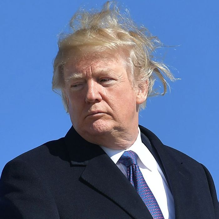 Trump vs. Wind (15 pics)
