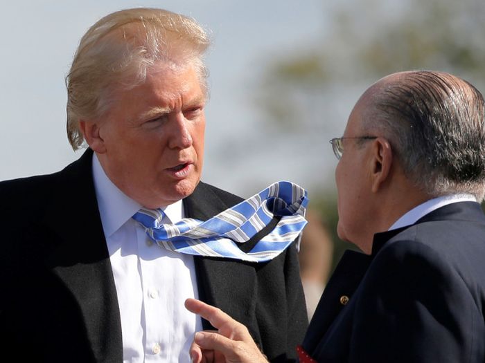 Trump vs. Wind (15 pics)