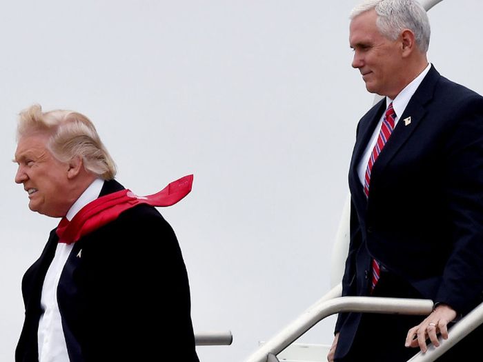 Trump vs. Wind (15 pics)