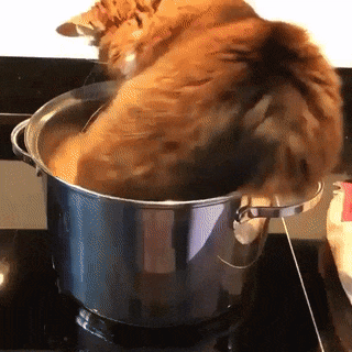 Acid Gifdump, March 7, 2018 (25 gifs)