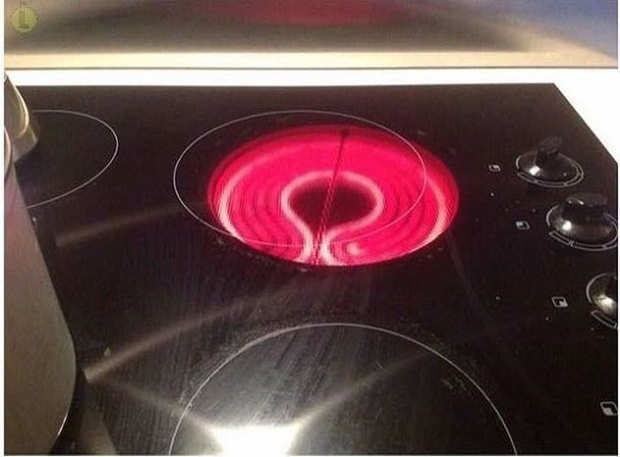 It's Just So Wrong (28 pics)