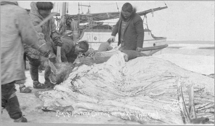 How The Eskimos Of Alaska Lived During The Time Of The Gold Rush (35 pics)