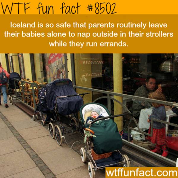 Interesting Facts (25 pics)