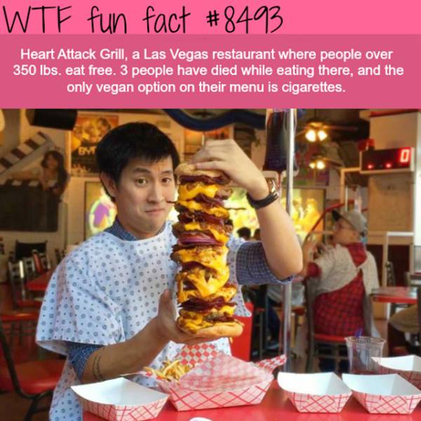 Interesting Facts (25 pics)