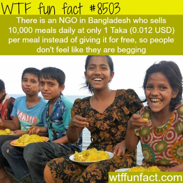 Interesting Facts (25 pics)