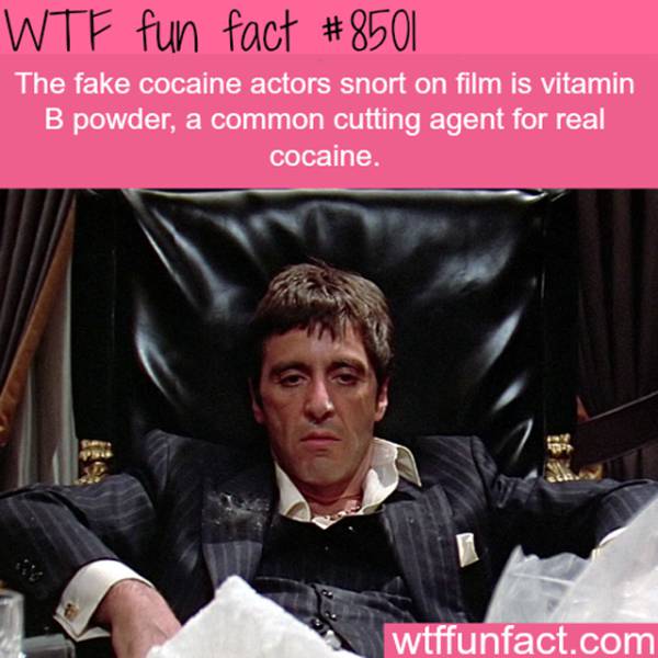 Interesting Facts (25 pics)