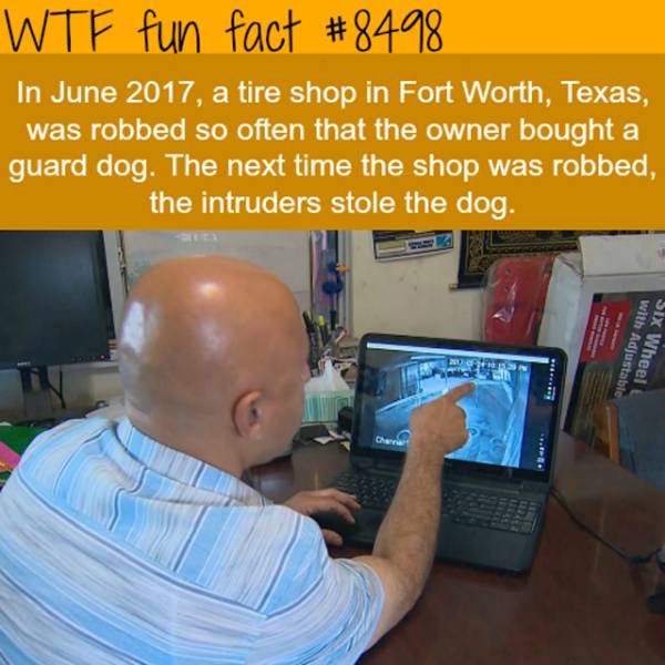 Interesting Facts (25 pics)