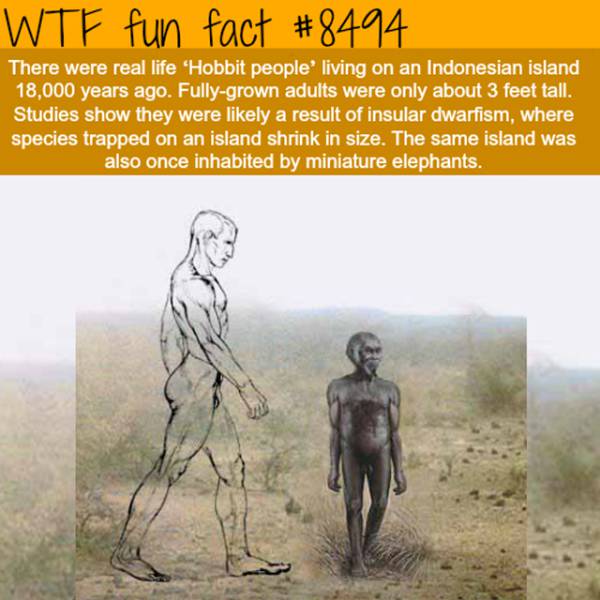 Interesting Facts (25 pics)